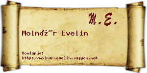 Molnár Evelin névjegykártya